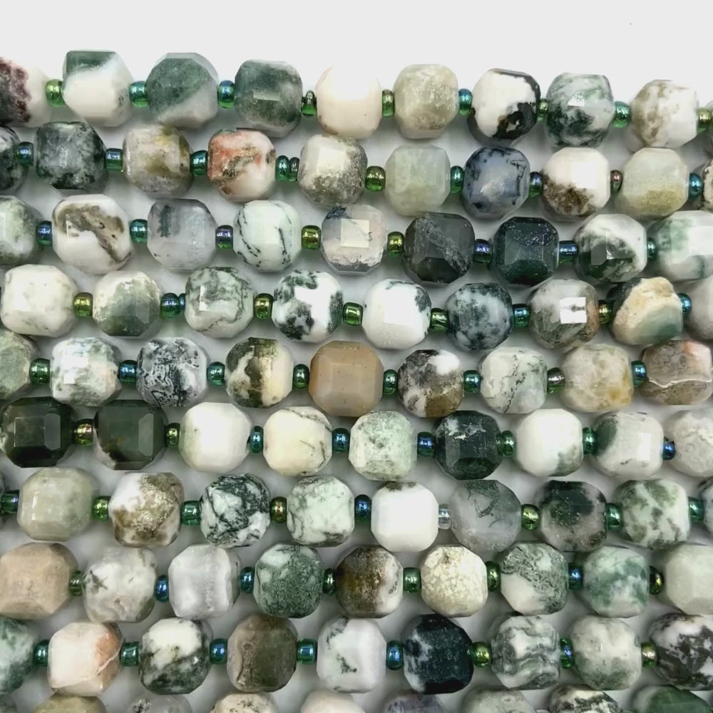 8mm cubed natural tree agate beads, glossy, 1 strand, approx. 35 beads(Brazil)